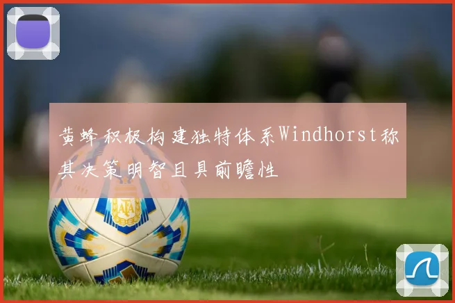 黄蜂积极构建独特体系Windhorst称其决策明智且具前瞻性