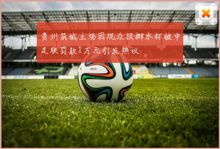 贵州筑城主场因观众投掷水杯被中足联罚款1万元引发热议
