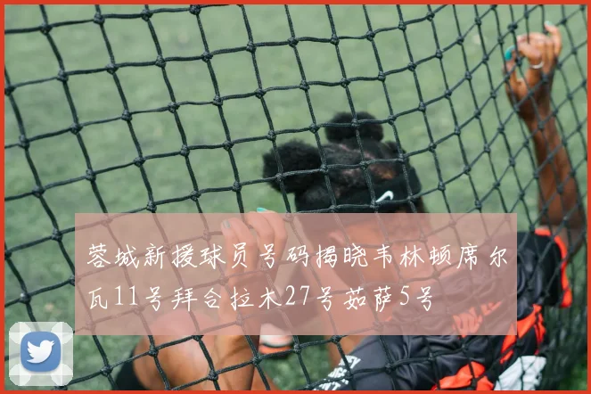 蓉城新援球员号码揭晓韦林顿席尔瓦11号拜合拉木27号茹萨5号