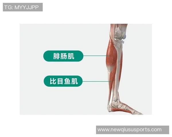 阿拉巴因右小腿比目鱼肌超负荷伤情将缺席比赛7到10天